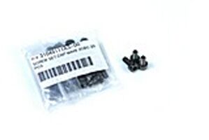 SCREW HEX CAP BC 4 X 8 (20-pc)